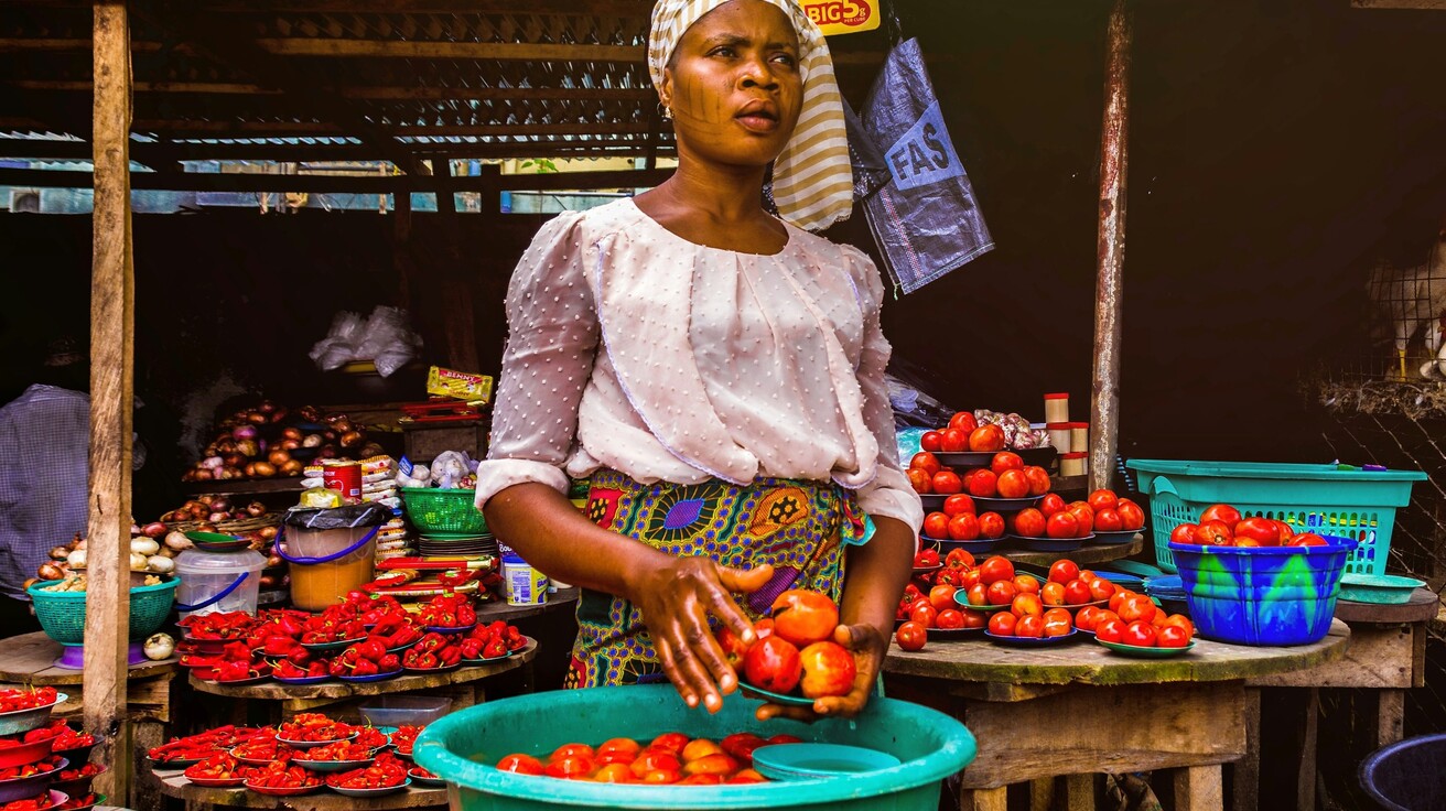 Young Zambian entrepreneurs engaged in diverse economic activities across agriculture, food, and fashion